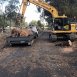 14x8 Flat Top Hydraulic Tipper Tri-axle with fold down sides, 4500kg ATM